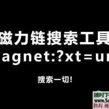 私藏！两款超强的磁力链BT种子搜索工具，可搜索一切