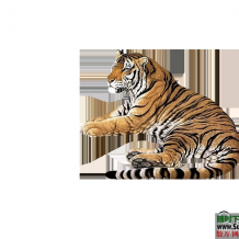 设计极品！5800款中国古风图片资源，大量免抠元素和复古手绘水墨素材