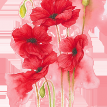 76张漂亮的【水彩花素材】免抠PNG格式