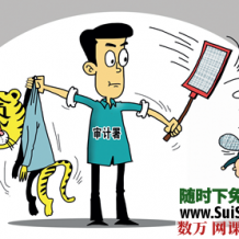 审计实操视频教程 王静超