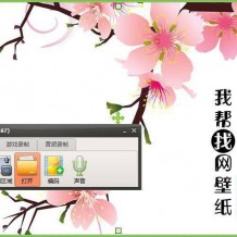 亲测好用的Gif录制神器，轻松录制动画图片，可录制视频MP4格式