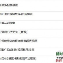 价值5万元的百度腾讯竞价SEM视频教程多套合集竞价高手成长之路共42G