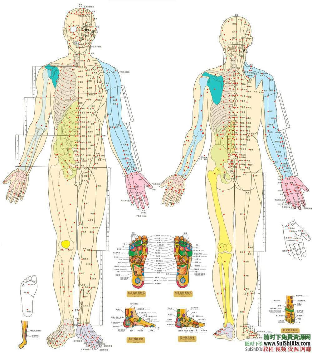 人体穴位拔罐养生书籍与经验中医知识  打包分享一些中医知识人体穴位拔罐养生类电子书籍和经验图片给大家 电子书 第7张