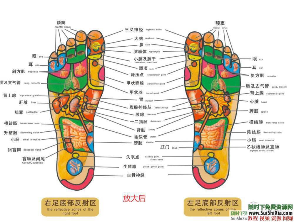 人体穴位拔罐养生书籍与经验中医知识  打包分享一些中医知识人体穴位拔罐养生类电子书籍和经验图片给大家 电子书 第8张