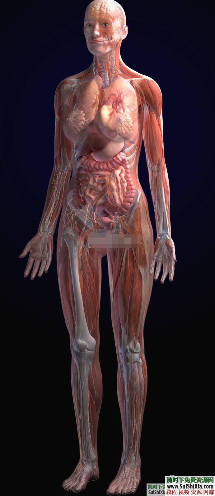 人体穴位拔罐养生书籍与经验中医知识  打包分享一些中医知识人体穴位拔罐养生类电子书籍和经验图片给大家 电子书 第9张