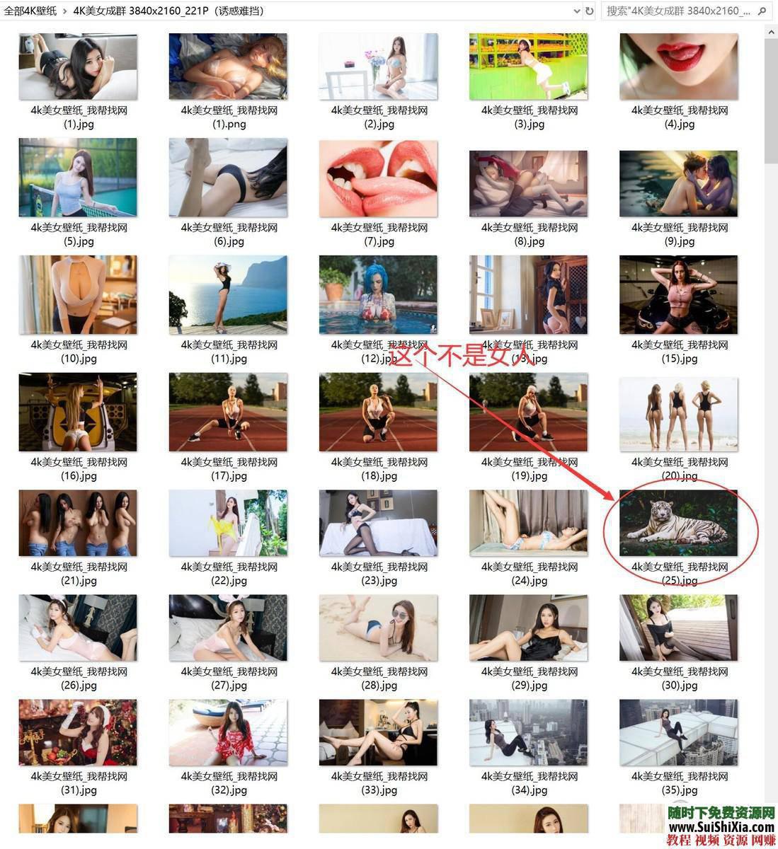 蓝光超清电脑手机背景美女风景游戏精挑2K、4K壁纸、8K二次元星空影视动物  宇宙最强！精挑2K、4K壁纸、8K蓝光超清电脑手机背景美女风景游戏二次元星空影视动物 美女图片 第40张