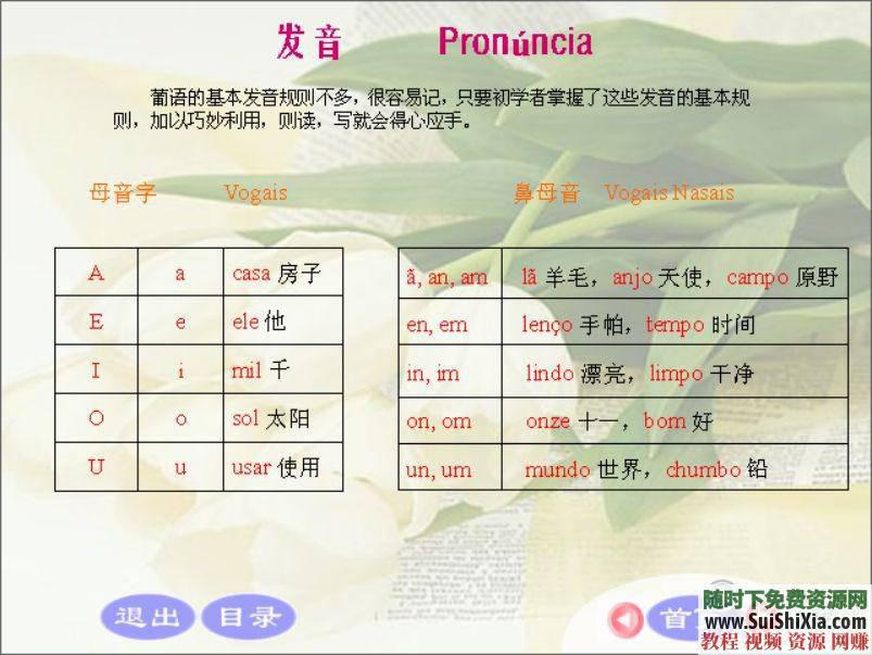 零基础入门0-A1-A2-B1高级视频教程葡萄牙语+47G葡语资料  最强干货，没有之一！葡萄牙语零基础入门0-A1-A2-B1高级视频教程+47G葡语资料赠品 第15张