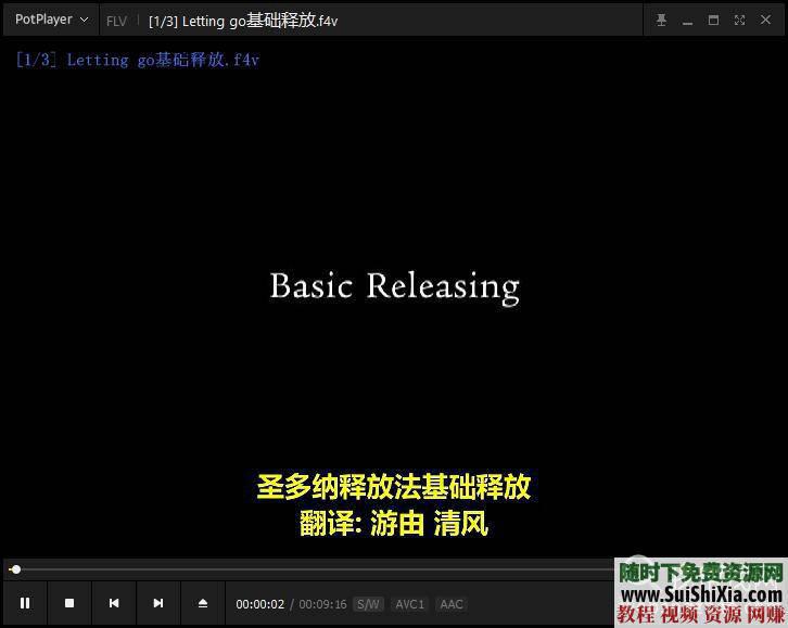 放下的力量 莱斯特与圣多纳释放法视频+MP3和文字资料合集2.5G  2.5G完整莱斯特与圣多纳释放法视频+MP3和文字资料合集 第9张