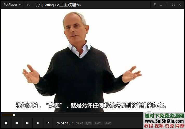 放下的力量 莱斯特与圣多纳释放法视频+MP3和文字资料合集2.5G  2.5G完整莱斯特与圣多纳释放法视频+MP3和文字资料合集 第13张
