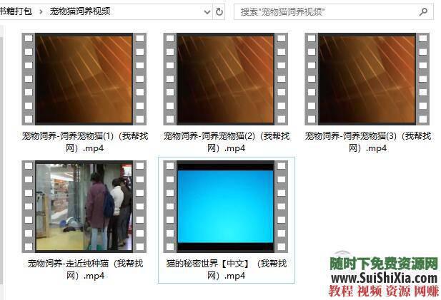 宠物猫饲养技术 养猫攻略+技巧教程+猫病经验PDF书籍  养猫攻略技巧教程宠物猫饲养技术猫病经验PDF书籍打包 第1张