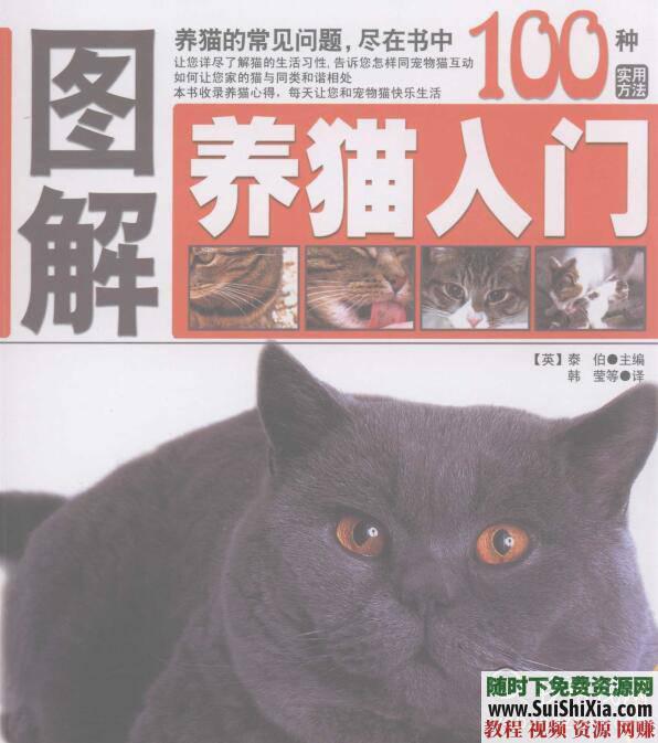 宠物猫饲养技术 养猫攻略+技巧教程+猫病经验PDF书籍  养猫攻略技巧教程宠物猫饲养技术猫病经验PDF书籍打包 第5张
