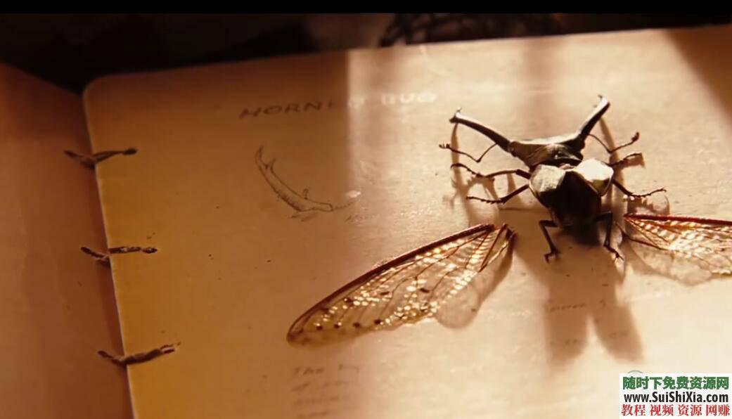 大量PDF手绘电子书籍 手账素材和可打印贴纸若干  超全高逼格手帐绘制视频教程88G 88G超全高逼格手帐绘制视频教程+大量PDF手绘电子书籍+手账素材和可打印贴纸若干 电子书 第8张