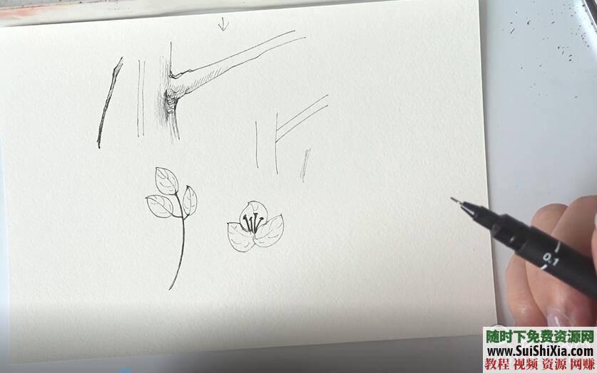 大量PDF手绘电子书籍 手账素材和可打印贴纸若干  超全高逼格手帐绘制视频教程88G 88G超全高逼格手帐绘制视频教程+大量PDF手绘电子书籍+手账素材和可打印贴纸若干 电子书 第19张