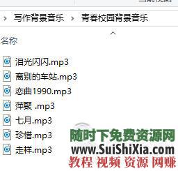 新人出版 写作软件素材  网络小说技巧大纲神器视频音频教程 【某宝重金购买系列】网络小说写作软件素材技巧大纲神器视频音频教程新人出版 第22张