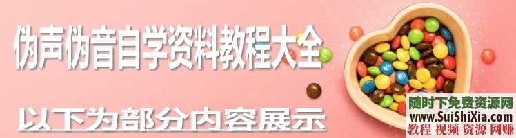 入门到精通男伪女女伪男声优配音 伪声伪音变音视频教程 自学资料  【某宝重金购买系列】伪声伪音变音视频教程 自学资料入门到精通男伪女女伪男声优配音 第2张