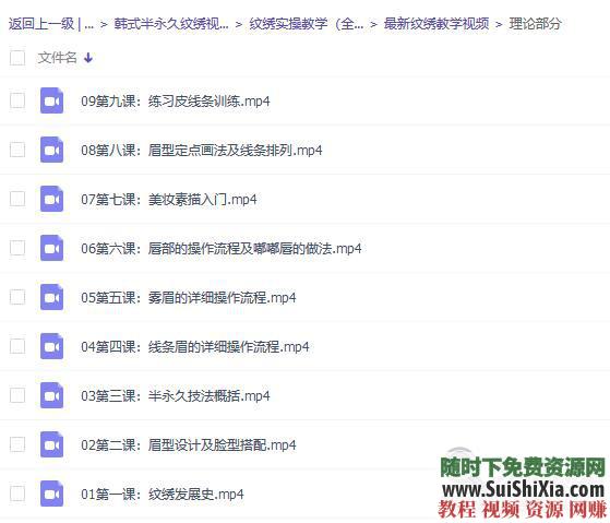 初学者纹绣教程视频 韩式半永久纹眉视频教程全套练习  【某宝重金购买系列】韩式半永久纹眉视频教程全套初学者纹绣教程视频练习培训学习 第8张