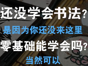 硬笔毛笔书法教学视频教程全套行书楷书草书隶书田英章钢笔练字
