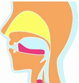 经典英语学习教程赖世雄KK音标视频版