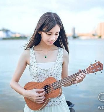 完全入门高清尤克里里视频教程+电子书籍+海量曲谱