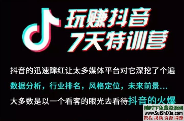 玩赚抖音7天特训营 引流增粉爆粉赚钱攻略视频教程+营销训练IP打造  抖音引流增粉爆粉赚钱攻略，玩转抖音视频教程，营销训练IP打造 营销 第3张