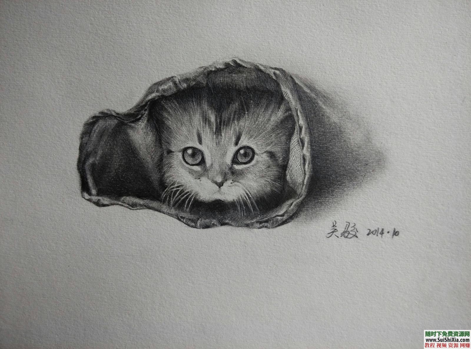 中级班四级 零基础入门的素描绘画 价值1600元  价值1600元的素描绘画零基础入门直达中级班四级 第2张