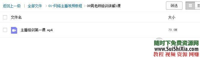 从入门到精通 网络网红+直播+主播培训教学视频教程课程技巧  网络网红直播主播培训教学视频教程课程技巧从入门到精通全套资料 第14张