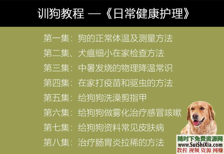 专业训练狗狗 训狗教程训犬视频 定点排便乱叫一点通2018  2018训狗教程训犬视频大全拉多专业训练狗狗定点排便乱叫一点通 第5张