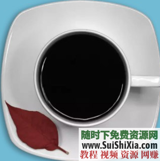 地表最强【多语言学习软件】32种语言英语、法语、日语、阿拉伯语速成学习工具