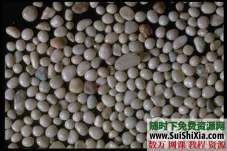 图片素材大全系列七打包下载 第3张 图片素材大全系列七打包下载 第3张