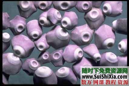 图片素材大全系列七打包下载 第4张 图片素材大全系列七打包下载 第4张