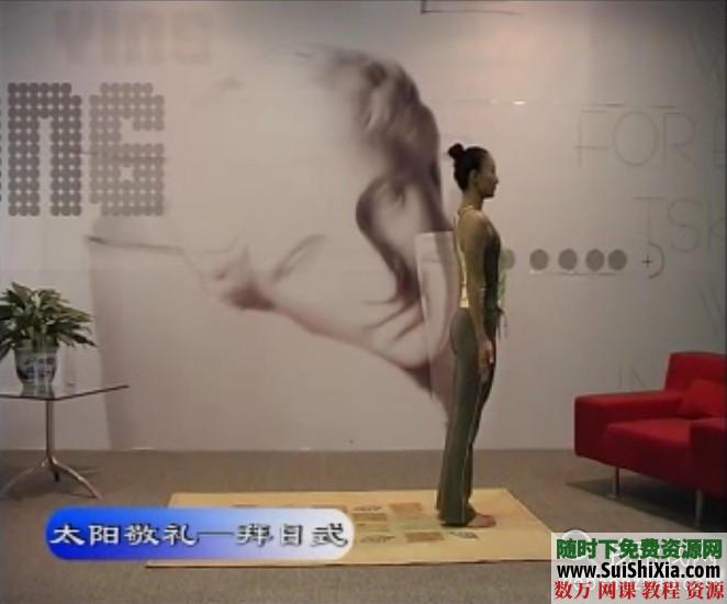 学习瑜伽全套练习视频教程 第2张 学习瑜伽全套练习视频教程 第2张