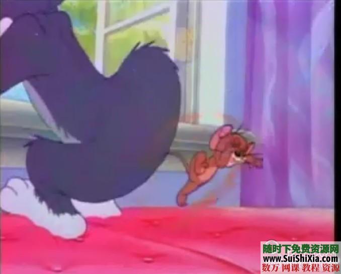 四川方言版猫和老鼠全集打包下载 第2张 四川方言版猫和老鼠全集打包下载 第2张