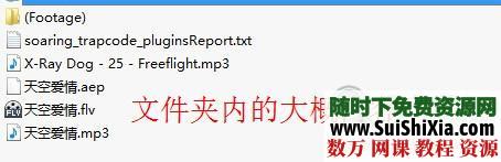 AE婚纱模板25G全套下载 第1张 AE婚纱模板25G全套下载 第1张