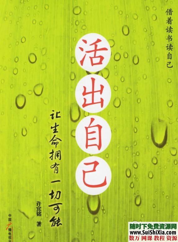 许宜铭【生命的灵性12全集视频+活出自己，原来可以这样爱书籍】下载 第6张