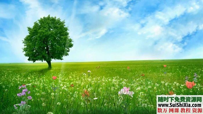 春天风景高清视频素材下载 第1张 春天风景高清视频素材下载 第1张