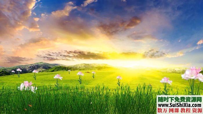 春天风景高清视频素材下载 第3张 春天风景高清视频素材下载 第3张