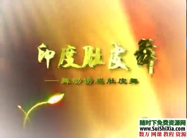 小薇肚皮舞视频教程全集下载 第1张 小薇肚皮舞视频教程全集下载 第1张