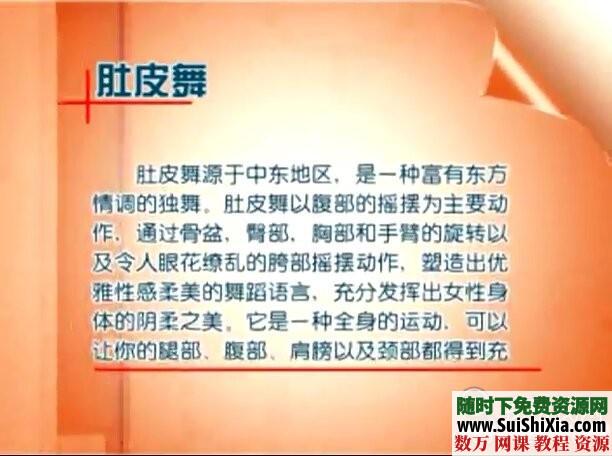 小薇肚皮舞视频教程全集下载 第2张 小薇肚皮舞视频教程全集下载 第2张
