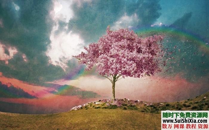 270张高清花草树木图片打包下载 第9张 270张高清花草树木图片打包下载 第9张