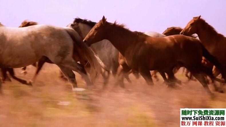 18G大量实拍视频素材 第2张 18G大量实拍视频素材 第2张