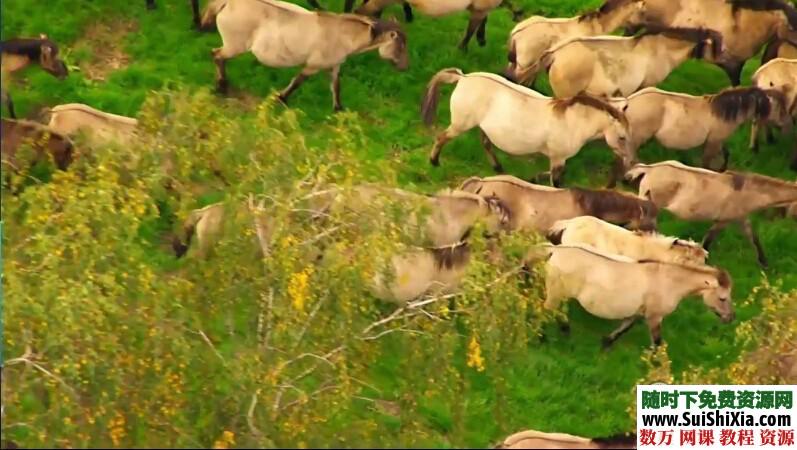 18G大量实拍视频素材 第4张 18G大量实拍视频素材 第4张