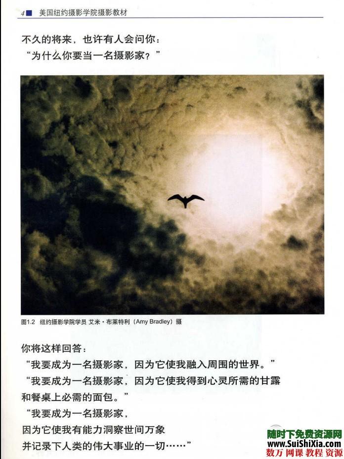 单反摄影教程,数码摄影基础教程(构图、用光),摄影书籍打包 第5张 单反摄影教程,数码摄影基础教程(构图、用光),摄影书籍打包 第5张