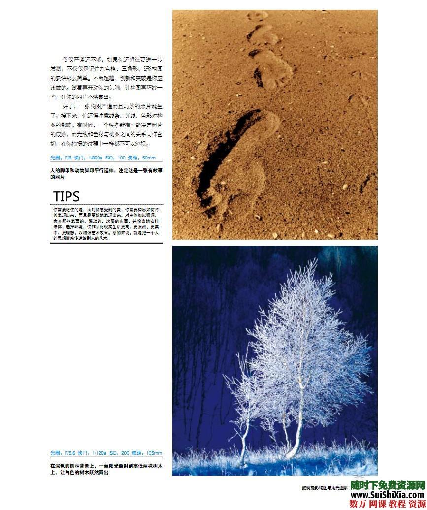 单反摄影教程,数码摄影基础教程(构图、用光),摄影书籍打包 第18张 单反摄影教程,数码摄影基础教程(构图、用光),摄影书籍打包 第18张