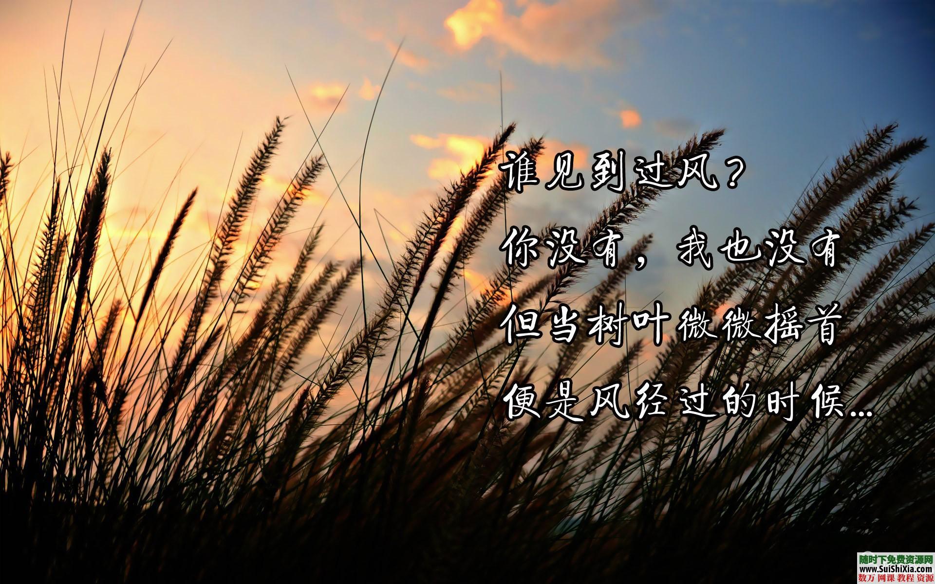 370张1080p高清励志壁纸,十分经典 第6张 370张1080p高清励志壁纸,十分经典 第6张