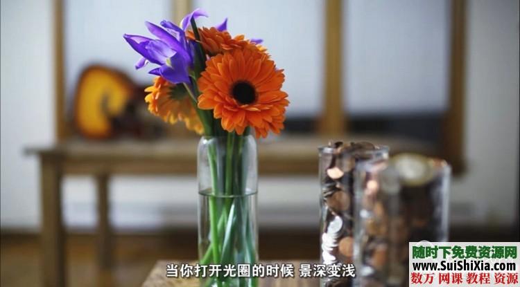 数码单反相机拍摄视频影片教程高级课43集1.87G(英文中字) 第5张 数码单反相机拍摄视频影片教程高级课43集1.87G(英文中字) 第5张