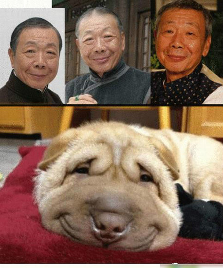 笑个够2000多张最新搞笑图片打包下载，包括动态图片和静态图片[编号820813] 第9张