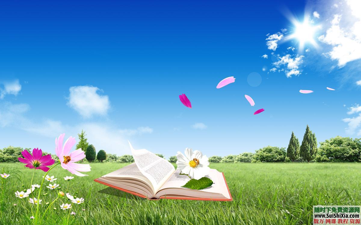 83G 13万张高清图片素材 第4张 83G 13万张高清图片素材 第4张