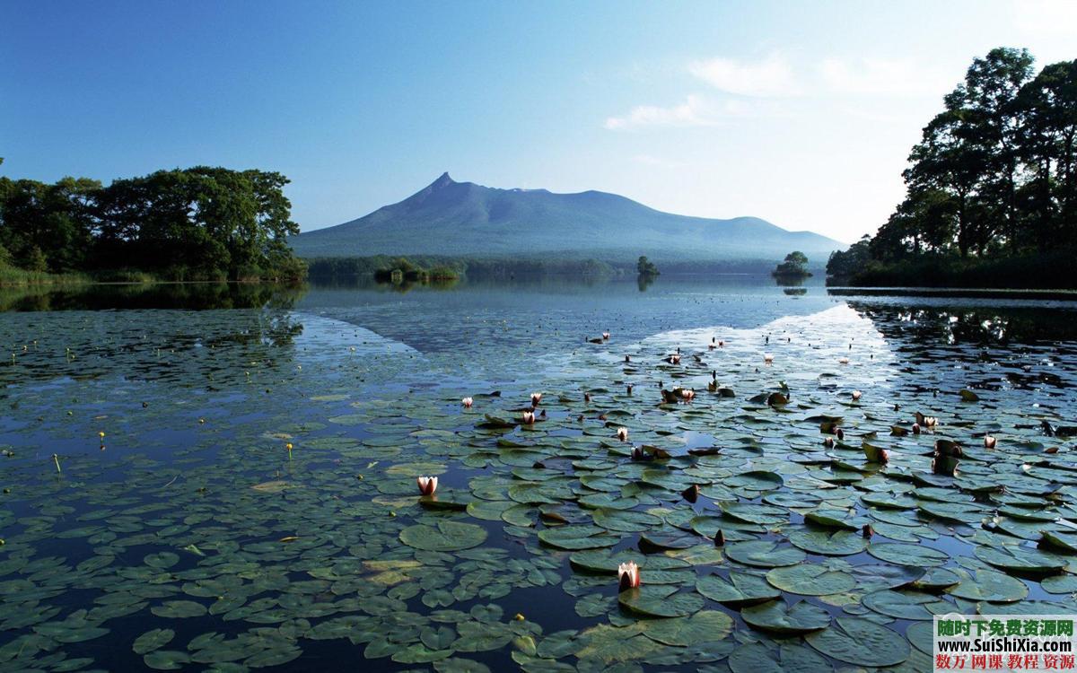 83G 13万张高清图片素材 第5张 83G 13万张高清图片素材 第5张