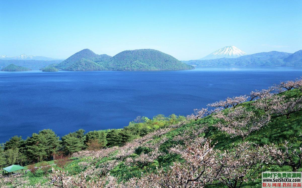 83G 13万张高清图片素材 第6张 83G 13万张高清图片素材 第6张