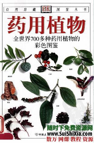 DK书籍大集合 第1张 DK书籍大集合 第1张